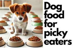 Dog food for picky eaters