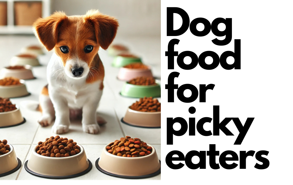 Dog food for picky eaters