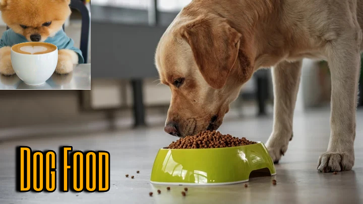 Best Dog Food